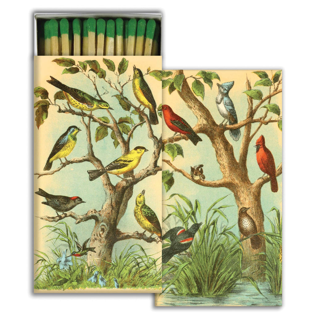 Matchbox with a vintage-style illustration of various birds on tree branches in a natural setting.