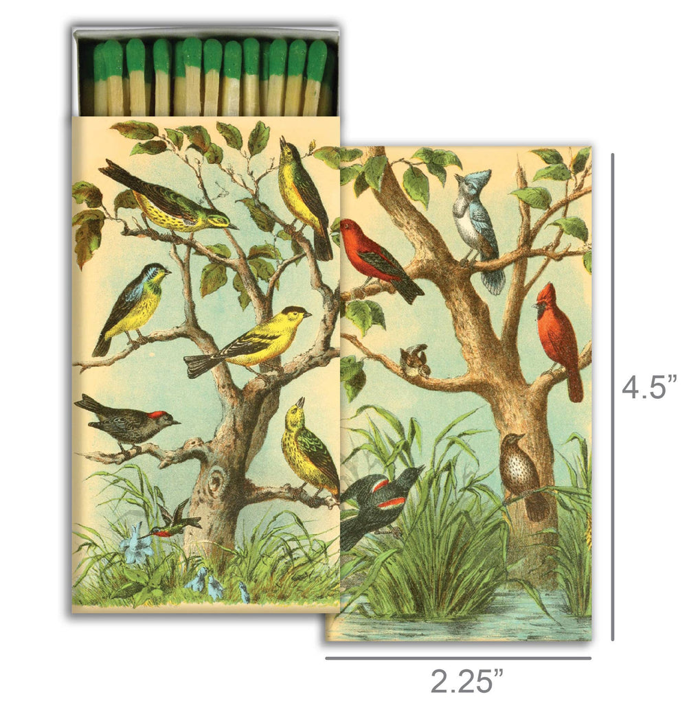 Matchbox with a vintage-style illustration of various birds on tree branches in a natural setting.